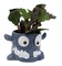 Snaggle Tooth Blue Halloween Planter with House Plant -4" Blue Ceramic Pot